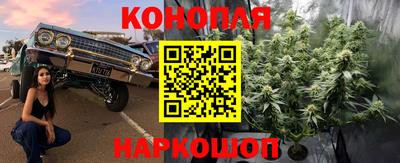 крисы Берёзовский