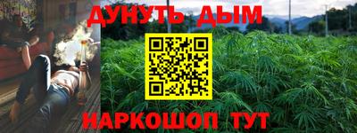 крисы Берёзовский