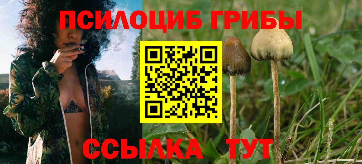 Псилоцибиновые грибы ЛСД Кинель